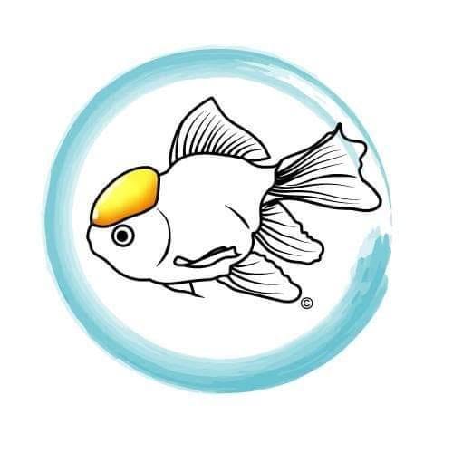 Logo Poisson Doré