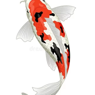 Carpe Koï